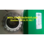 BẠC ĐẠN F238900.RNN - INA